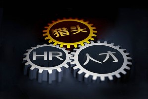 关于候选人的背景调查